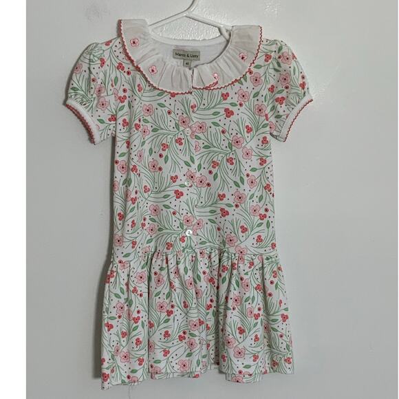 Marco & Lizzy Cherry Blossoms Girl's Dropped Waist Dress NWT size 4T - Picture 2 of 5
